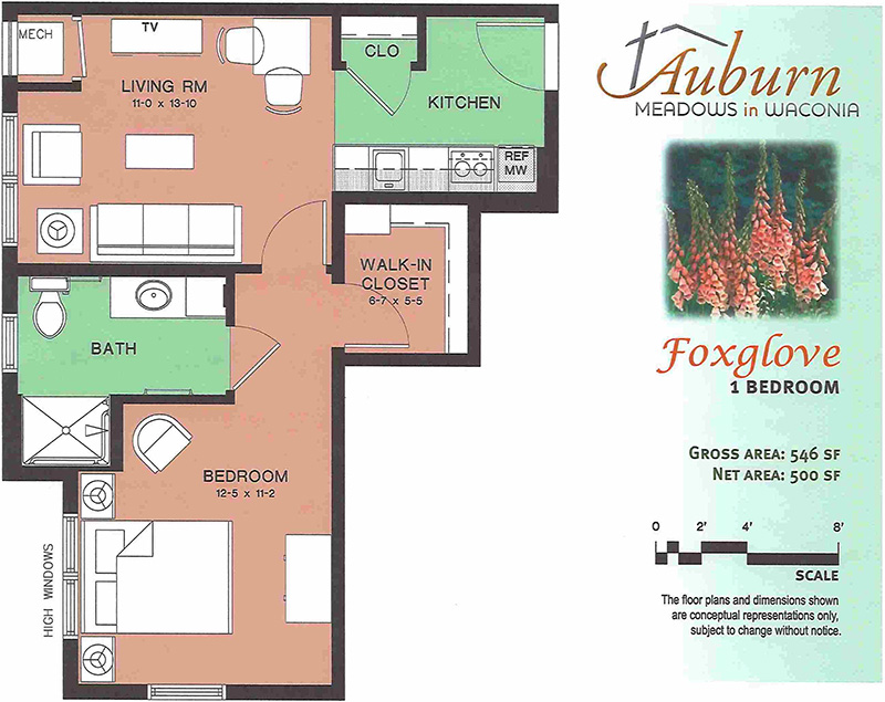 Foxglove Floor Plan
