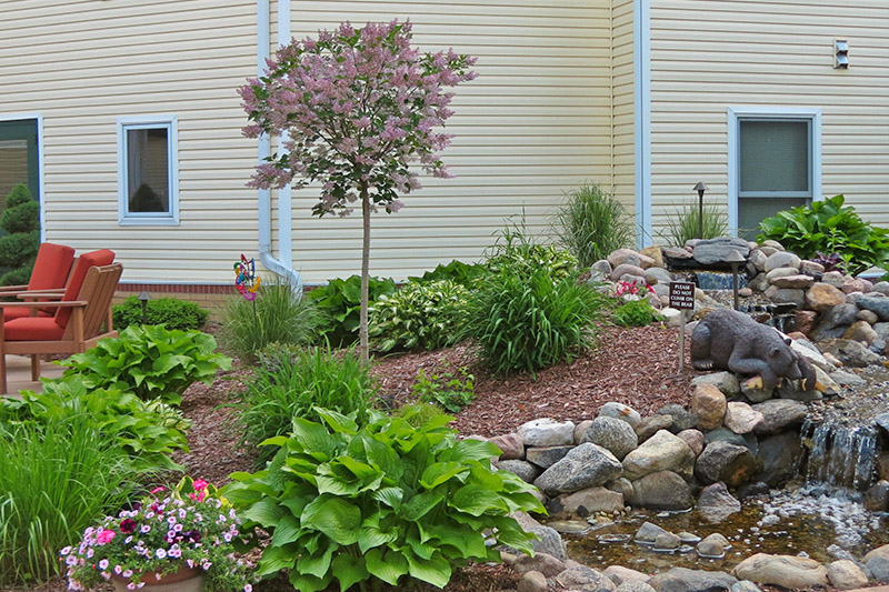 Auburn Courtyard garden